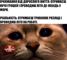 Анекдот дня