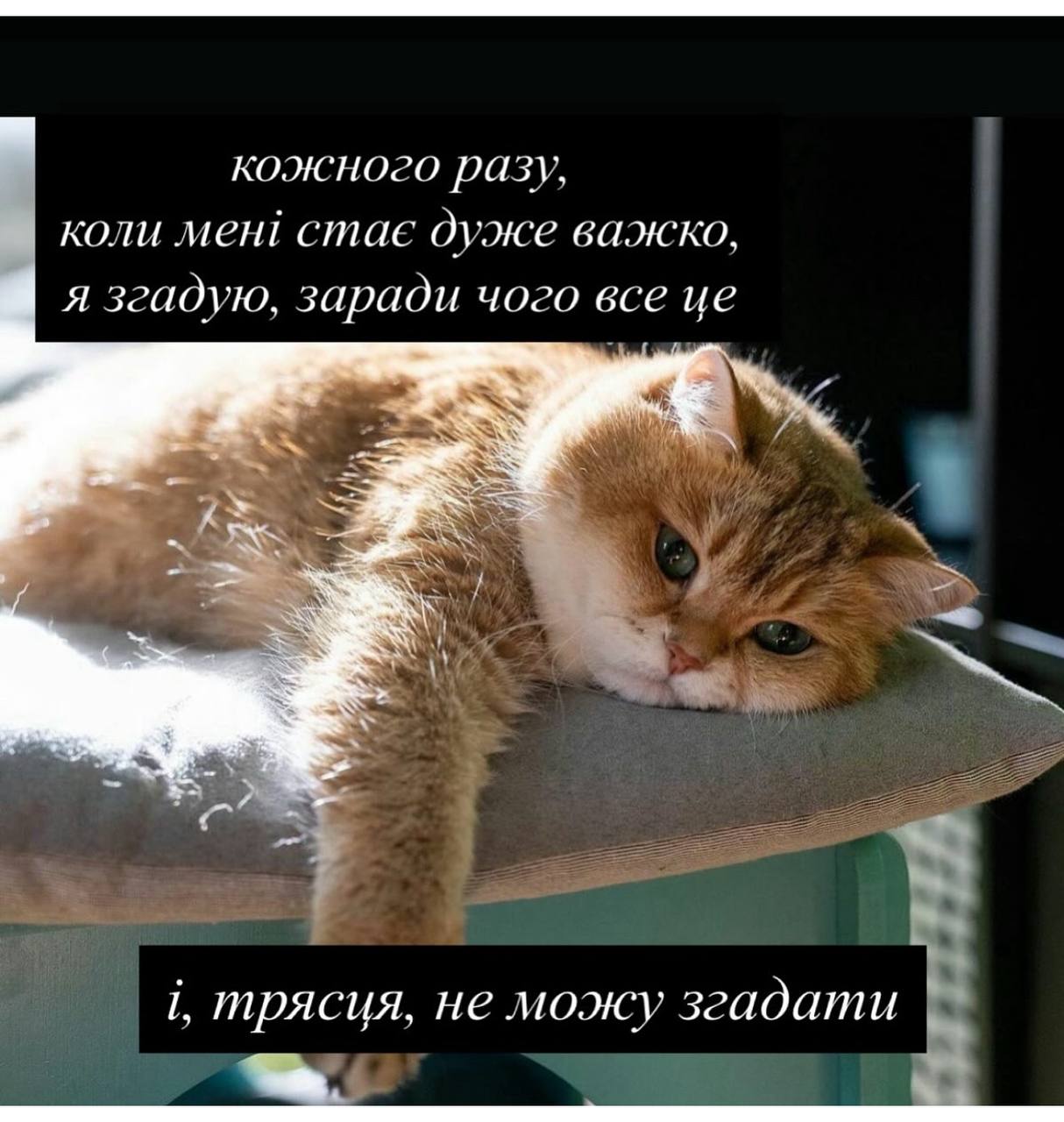 Анекдот дня
