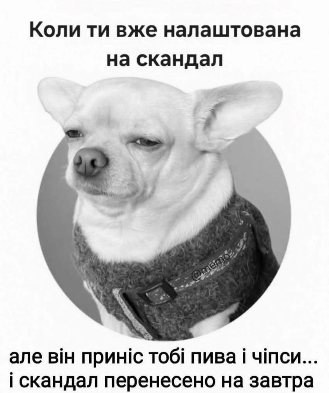 Анекдот дня