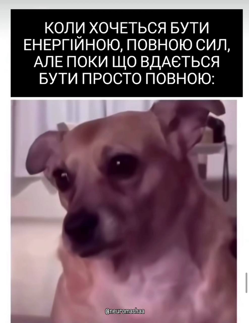 Анекдот дня