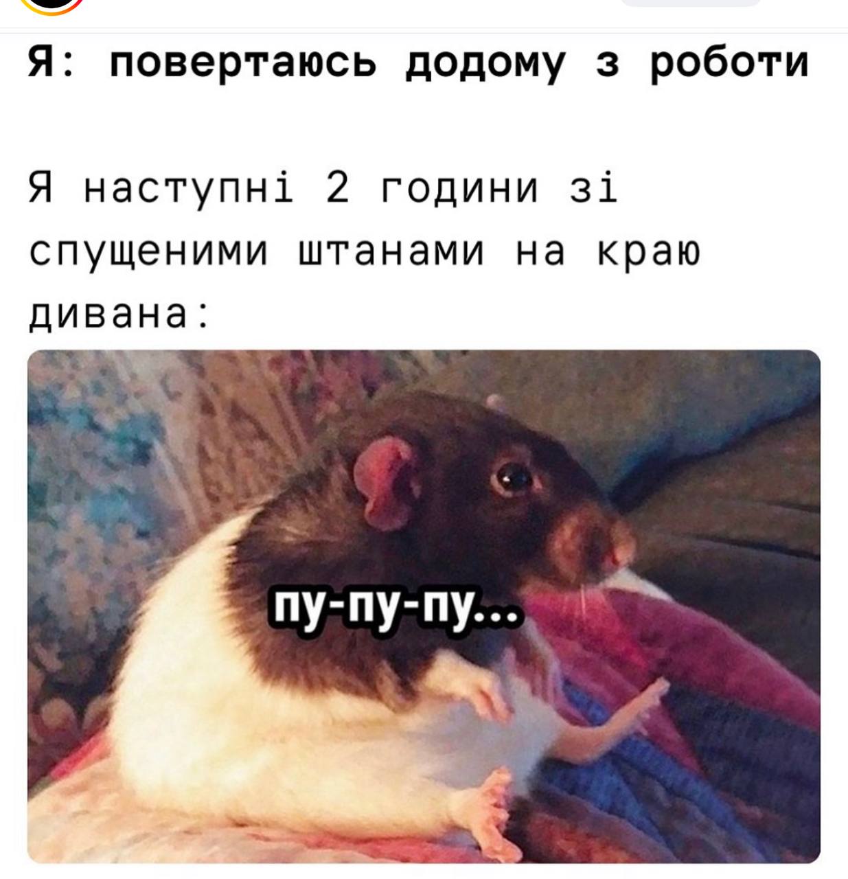 Анекдот дня
