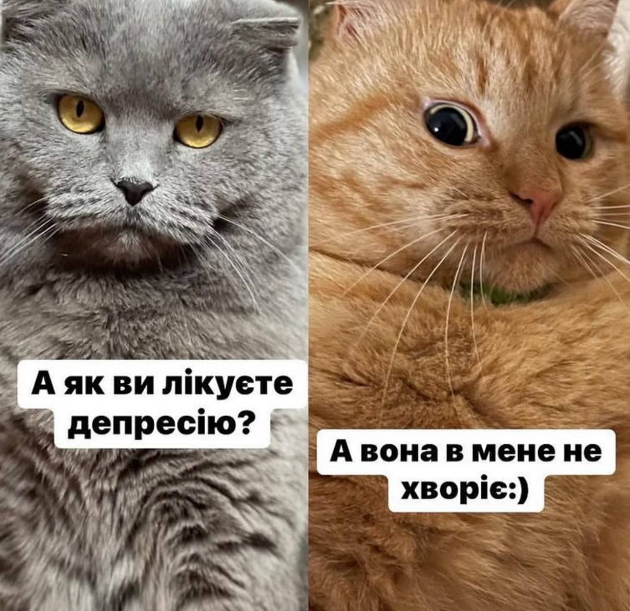 Анекдот дня