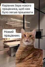 Анекдот дня