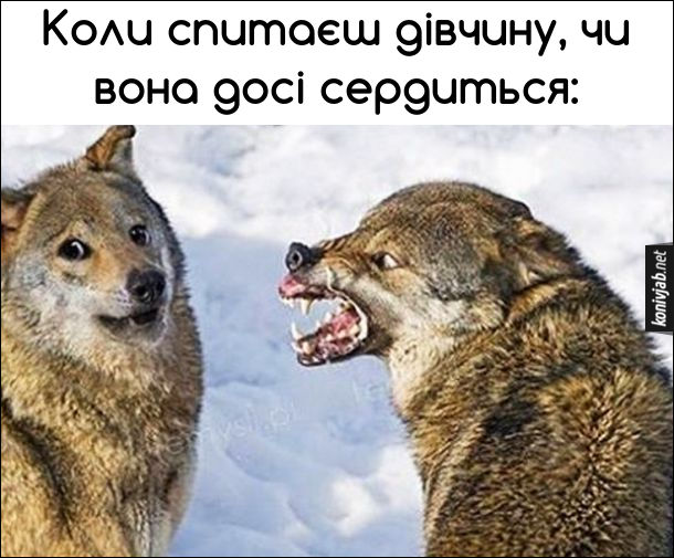 Анекдот дня