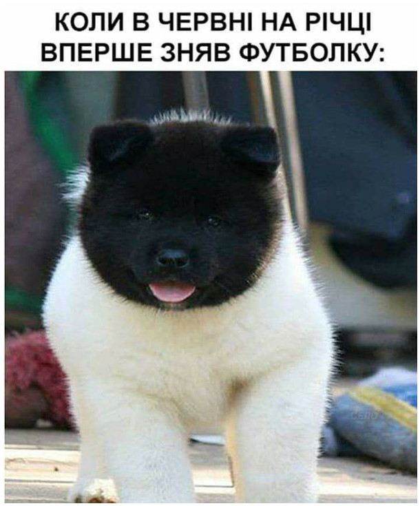 Анекдот дня