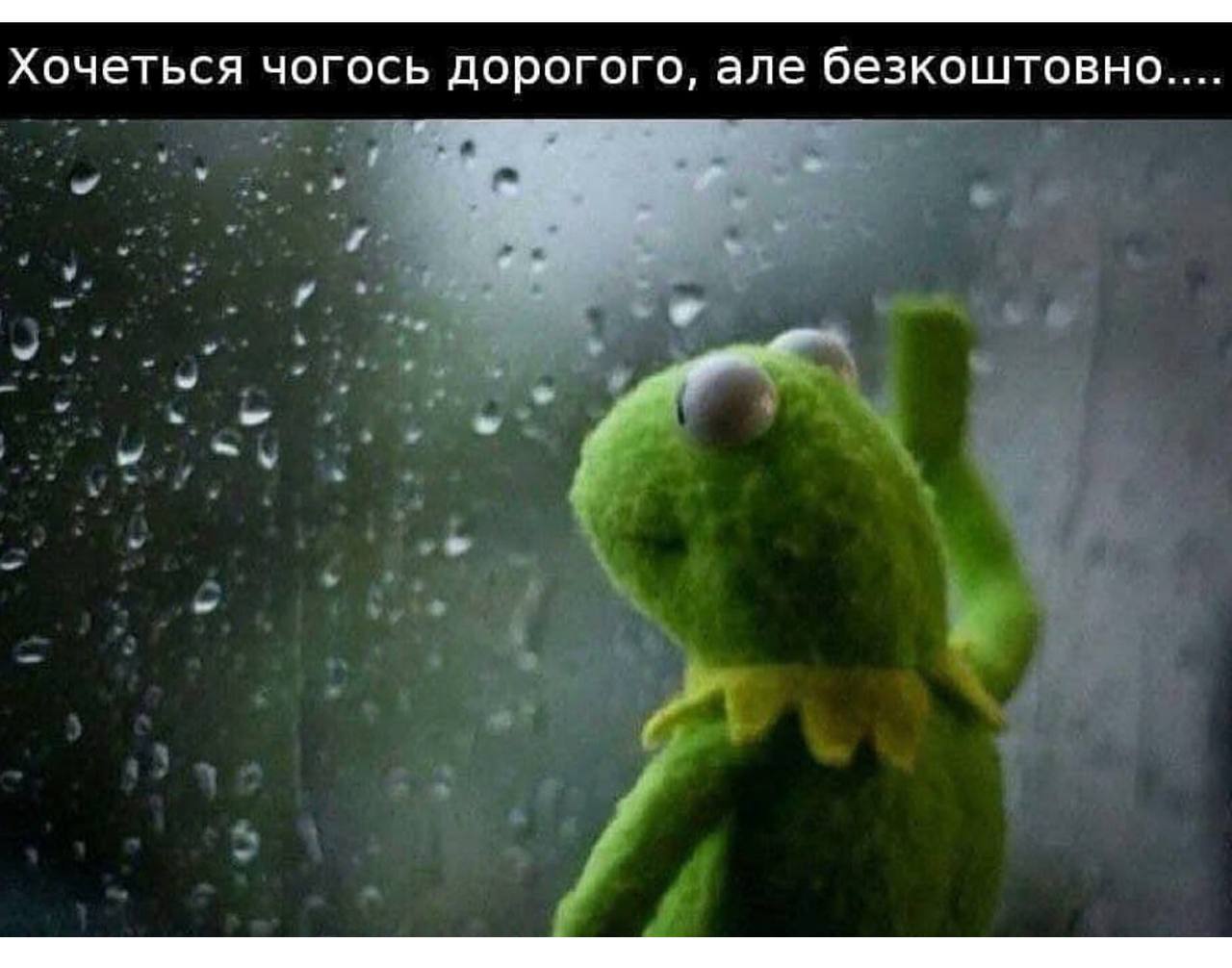 Анекдот дня