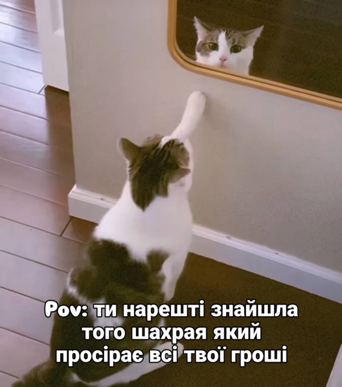 Анекдот дня