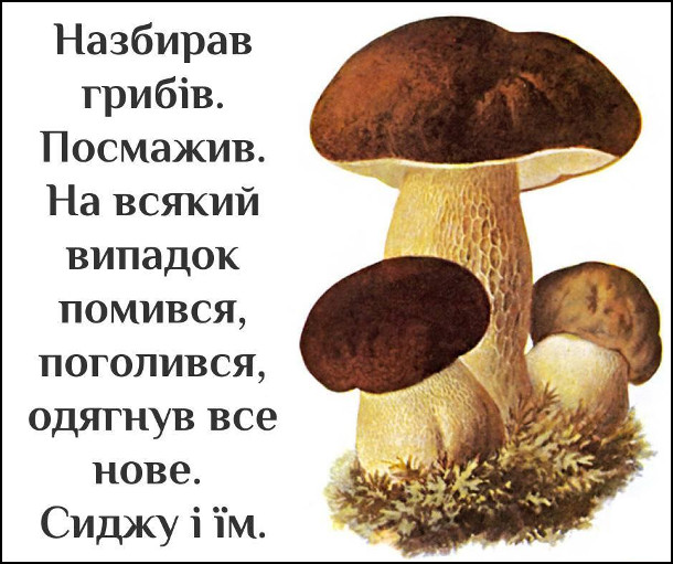 Анекдот дня