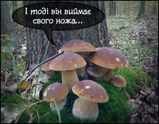 Анекдот дня