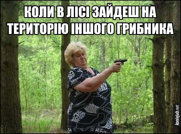 Анекдот дня