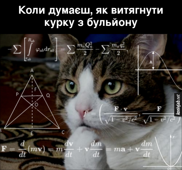 Анекдот дня
