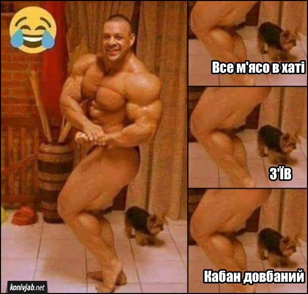 Анекдот дня
