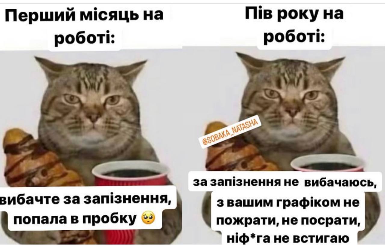 Анекдот дня