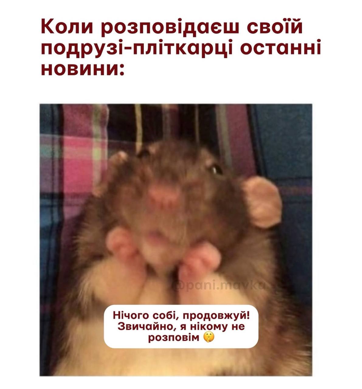 Анекдот дня