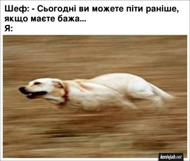 Анекдот дня