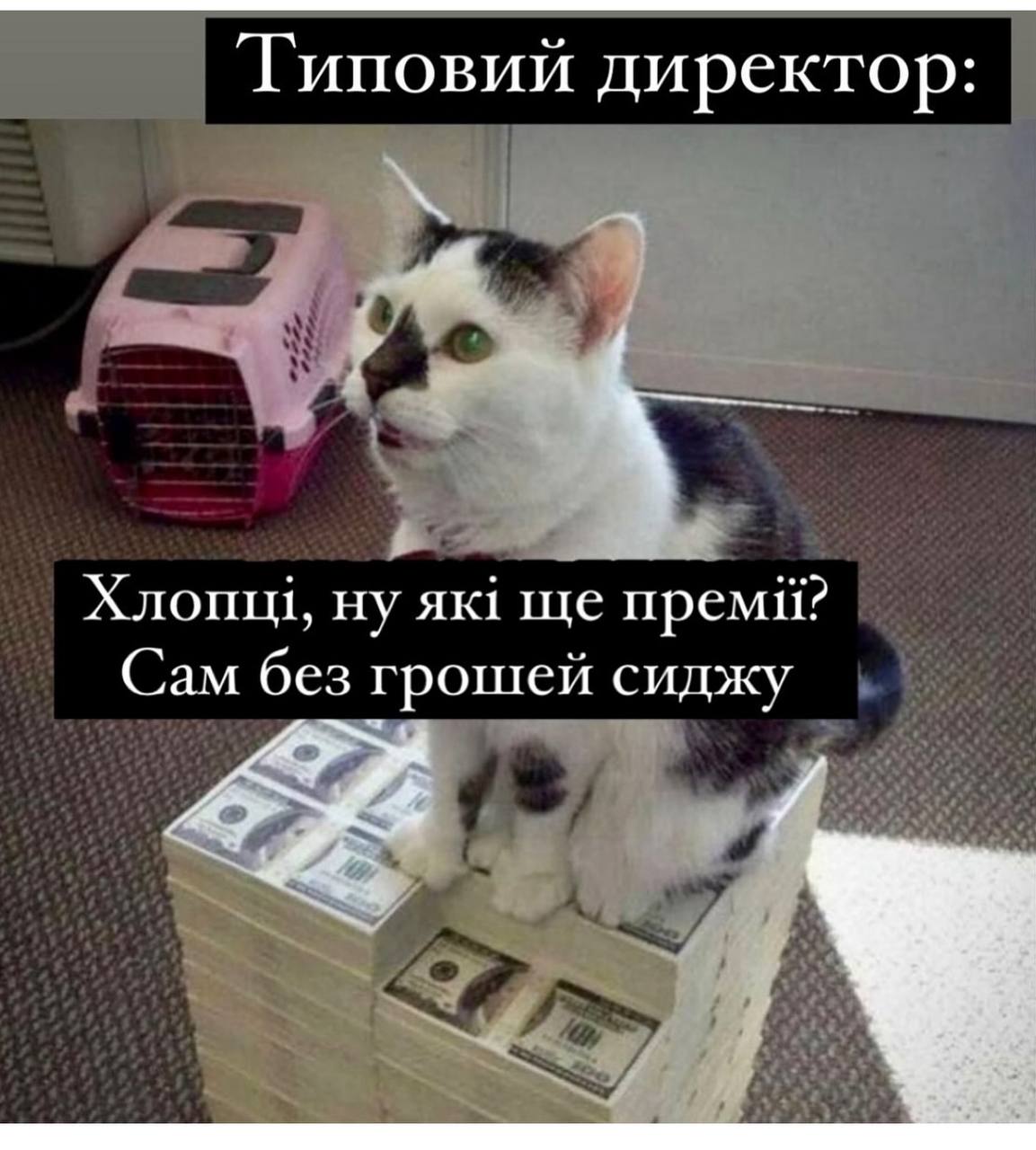 Анекдот дня