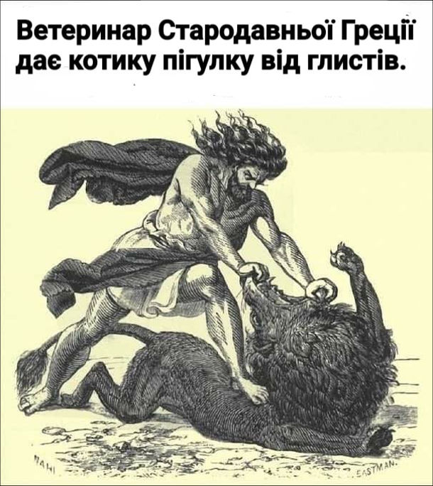 Анекдот дня