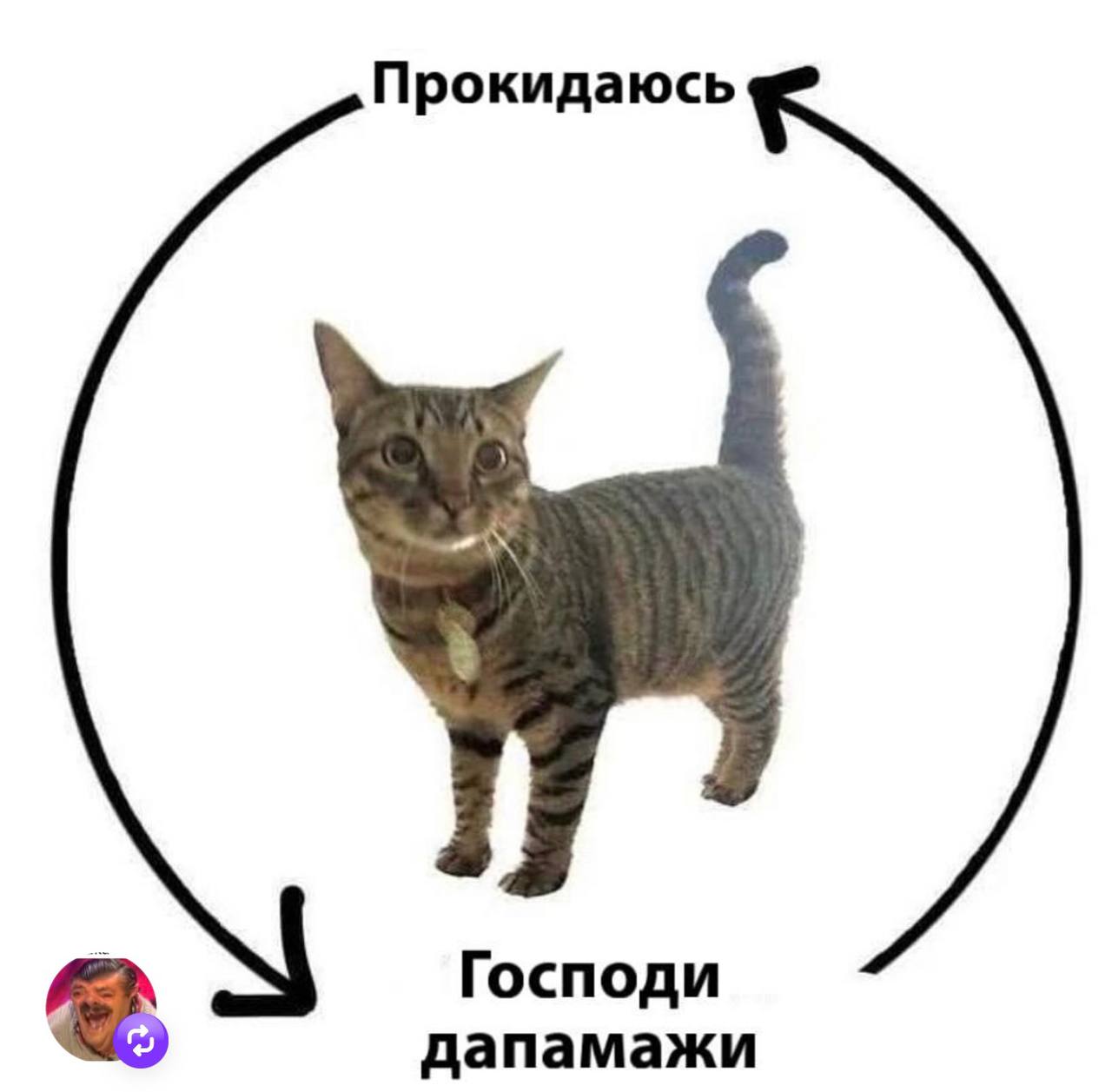 Анекдот дня