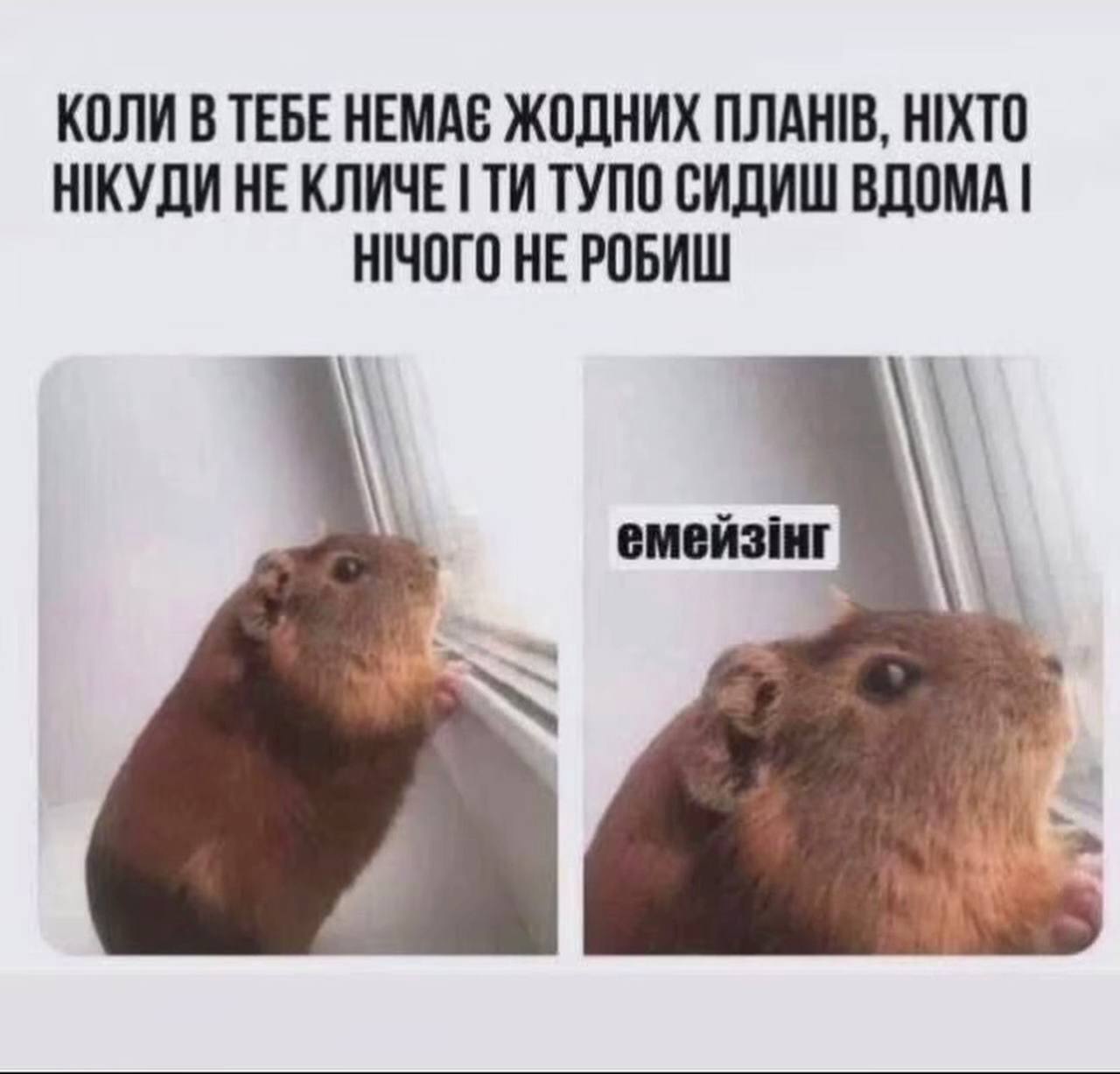 Анекдот дня