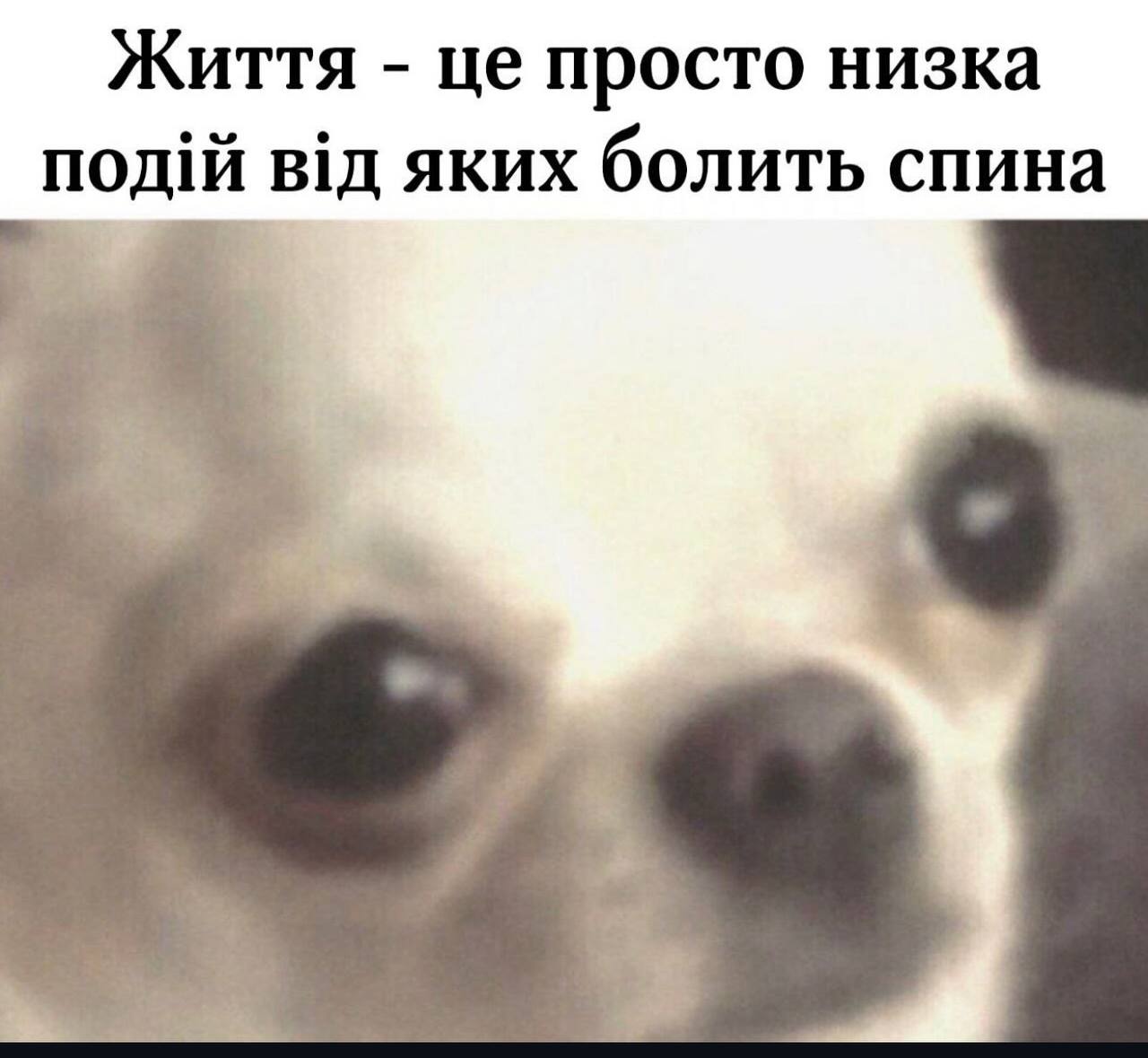 Анекдот дня