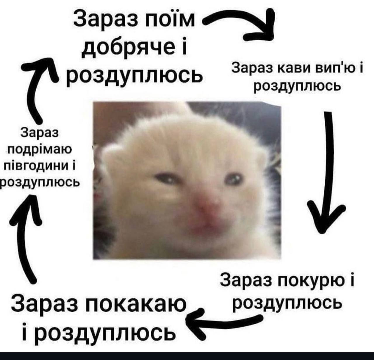 Анекдот дня