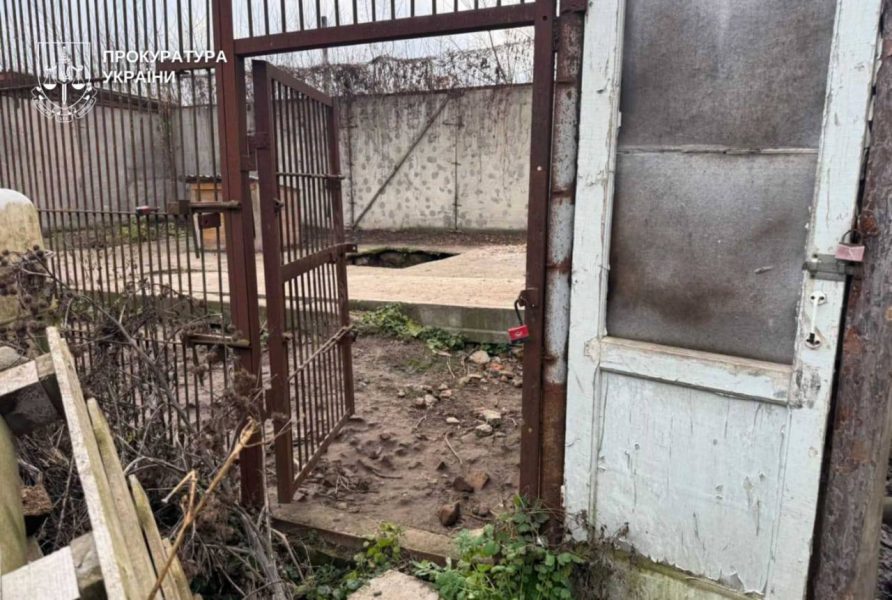 У Хмельницькому з вольєра на волю втекли дві левиці