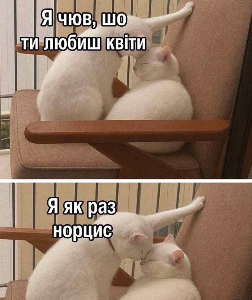 Анекдот дня