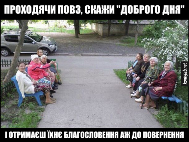 Анекдот дня